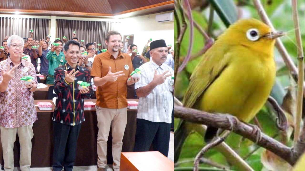 Burung Endemik Pulau Wangi-Wangi Wakatobi Masuk Konservasi